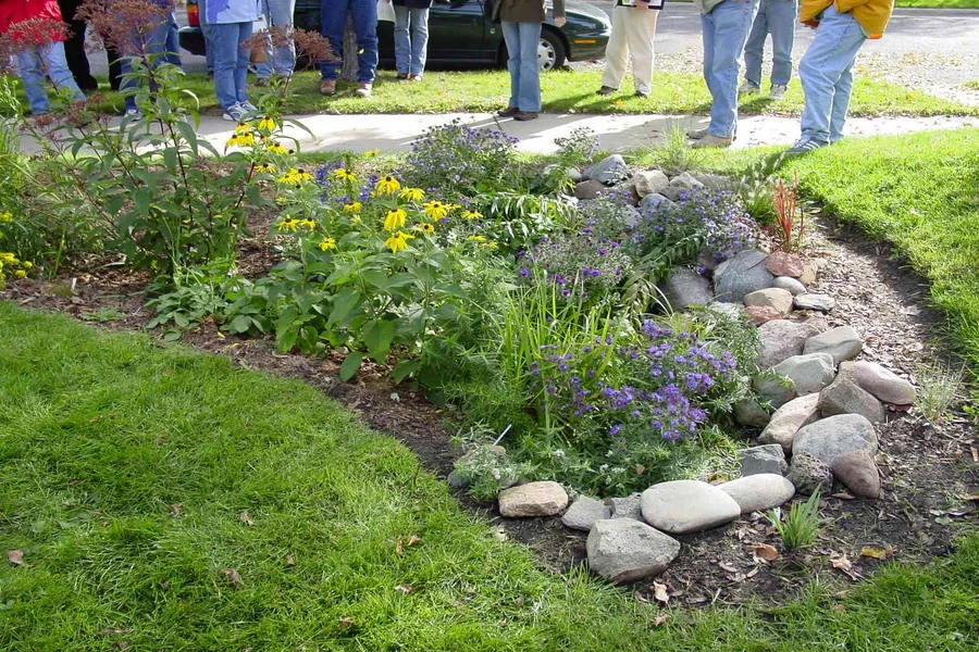 How to Stop Rainwater from Damaging Flower Beds Rainwater