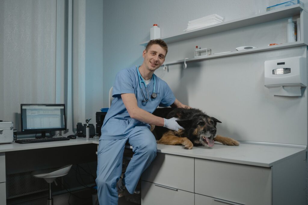 How Animal Hospitals Handle Critical Trauma Cases When Every Second Counts