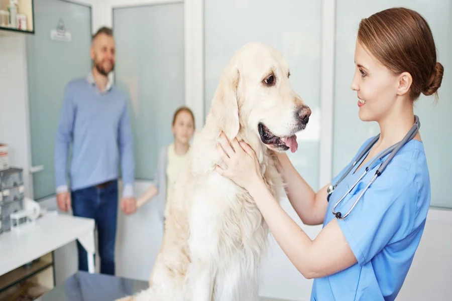 Choosing The Right Animal Care Center For Your Pet’s Needs Center