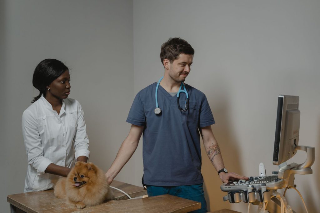 What To Expect From A Cat Or Dog Hospital Check In Process