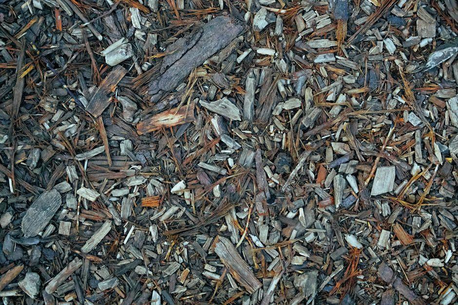 The Environmental Benefits of Recycled Rubber Surfacing
